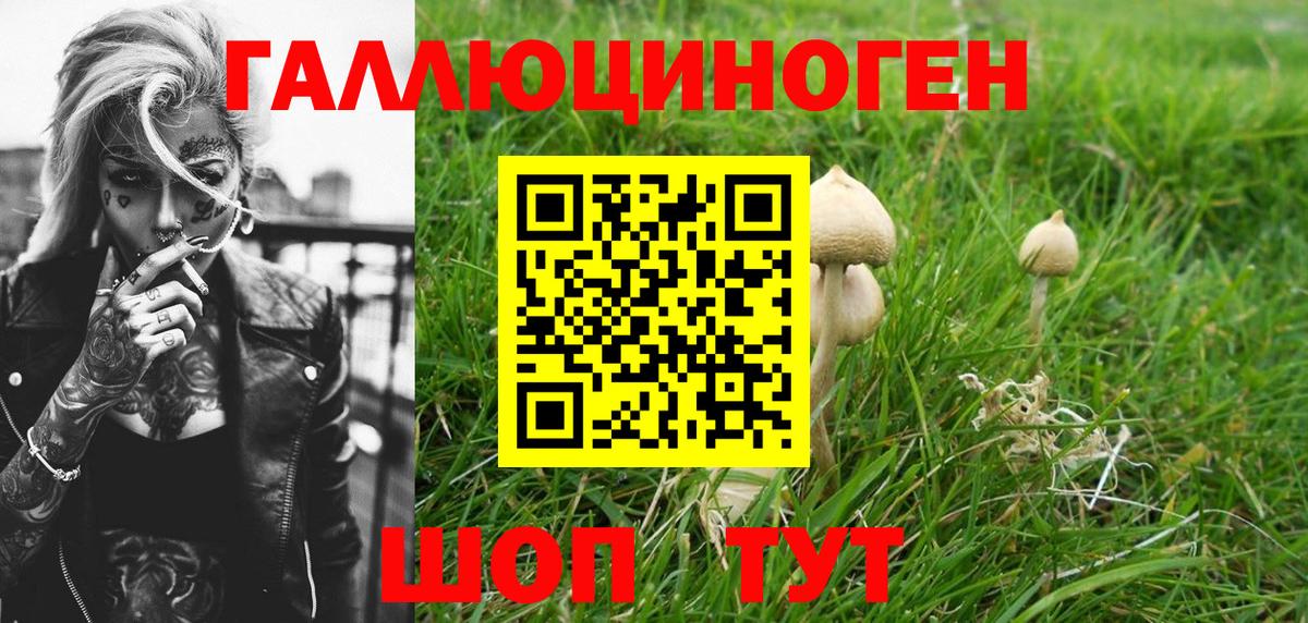 Галлюциногенные грибы GOLDEN TEACHER  Вход с VPN  Туймазы 