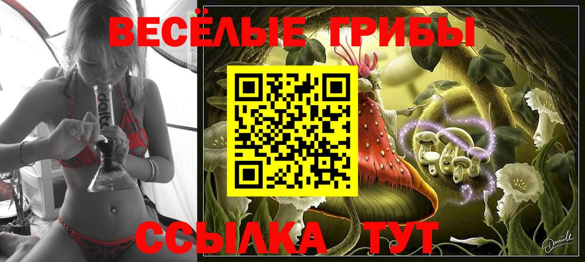 Псилоцибиновые грибы прущие грибы Туймазы